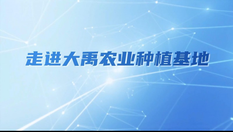 大禹农业| 多元化种植基地矩阵，探索农业现代化新路径