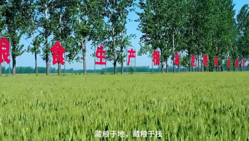 大禹节水：破解高标准农田建设难题，扛牢粮食安全重担，以科技与责任交出了一份创新答卷。