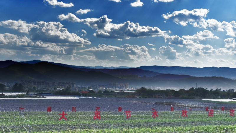 媒体聚焦 | 水利报点赞大禹机制创新，助力农业节水实现帕累托最优