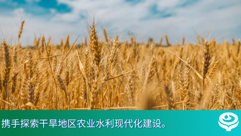 大禹动态｜酒泉市委常委、肃州区委书记张恒山一行莅临大禹集团考察调研