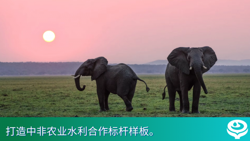 大禹国际｜大禹集团与津巴布韦副总统在京会谈，全产业链助力津巴布韦破解农业发展难题